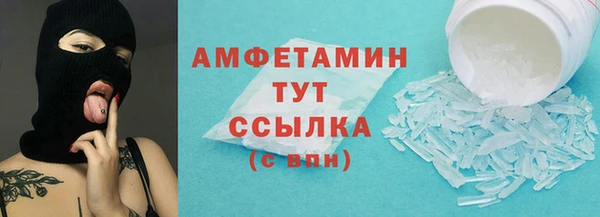 ГАЛЛЮЦИНОГЕННЫЕ ГРИБЫ Верея