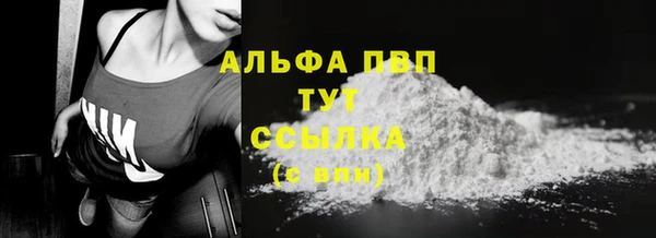 ГАЛЛЮЦИНОГЕННЫЕ ГРИБЫ Верея