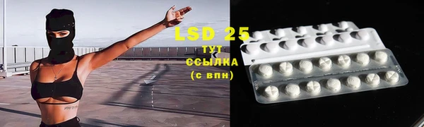 ГАЛЛЮЦИНОГЕННЫЕ ГРИБЫ Верея