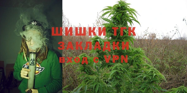 твердый Верхний Тагил