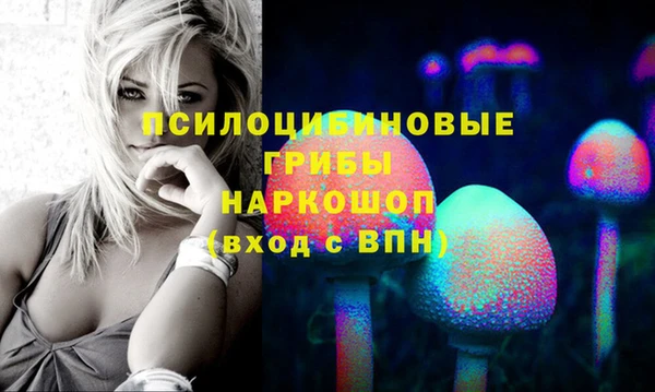 ГАЛЛЮЦИНОГЕННЫЕ ГРИБЫ Верея