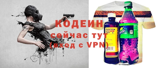 ГАЛЛЮЦИНОГЕННЫЕ ГРИБЫ Верея